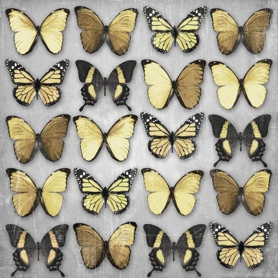 Black And Gold On Pinterest