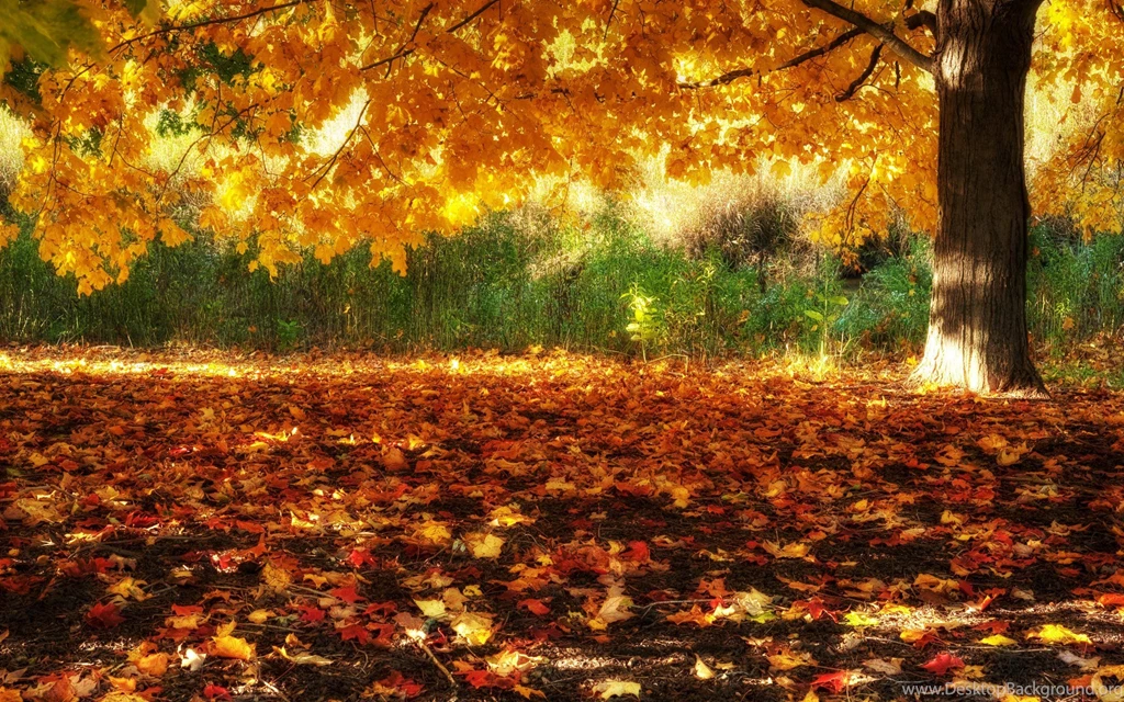 Beautiful Fall Pictures Wallpapers Wallpapers Cave