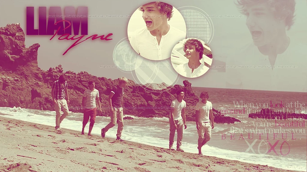1D What Makes You Beautiful Collection: Liam Payne
