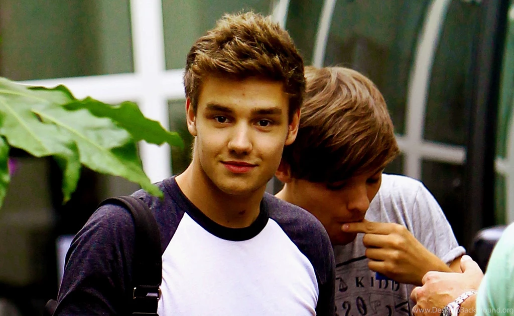 Liam Payne One Direction (id: 21581) – BUZZERG