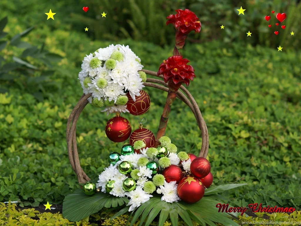 Digital Quotes: Natural Flowers Wallpapers