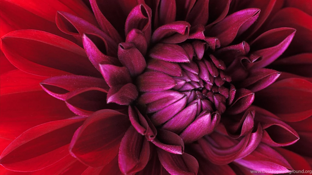 Hd Wallpapers For Windows 7 Laptop Nature Widescreen Ultimate Free ...