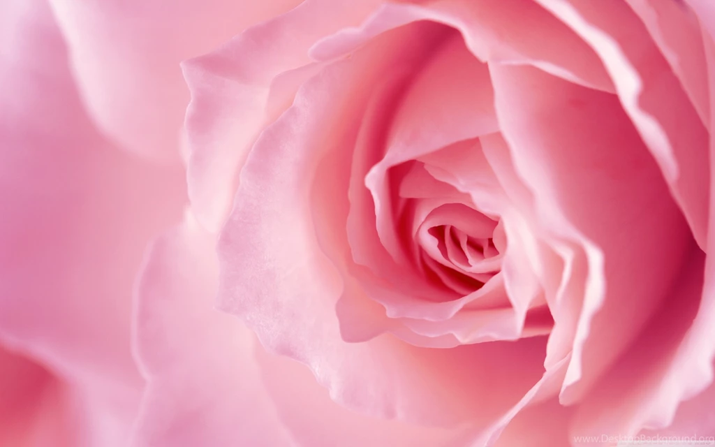 Girly Desktop Wallpapers » WallDevil Best Free HD Desktop And ...