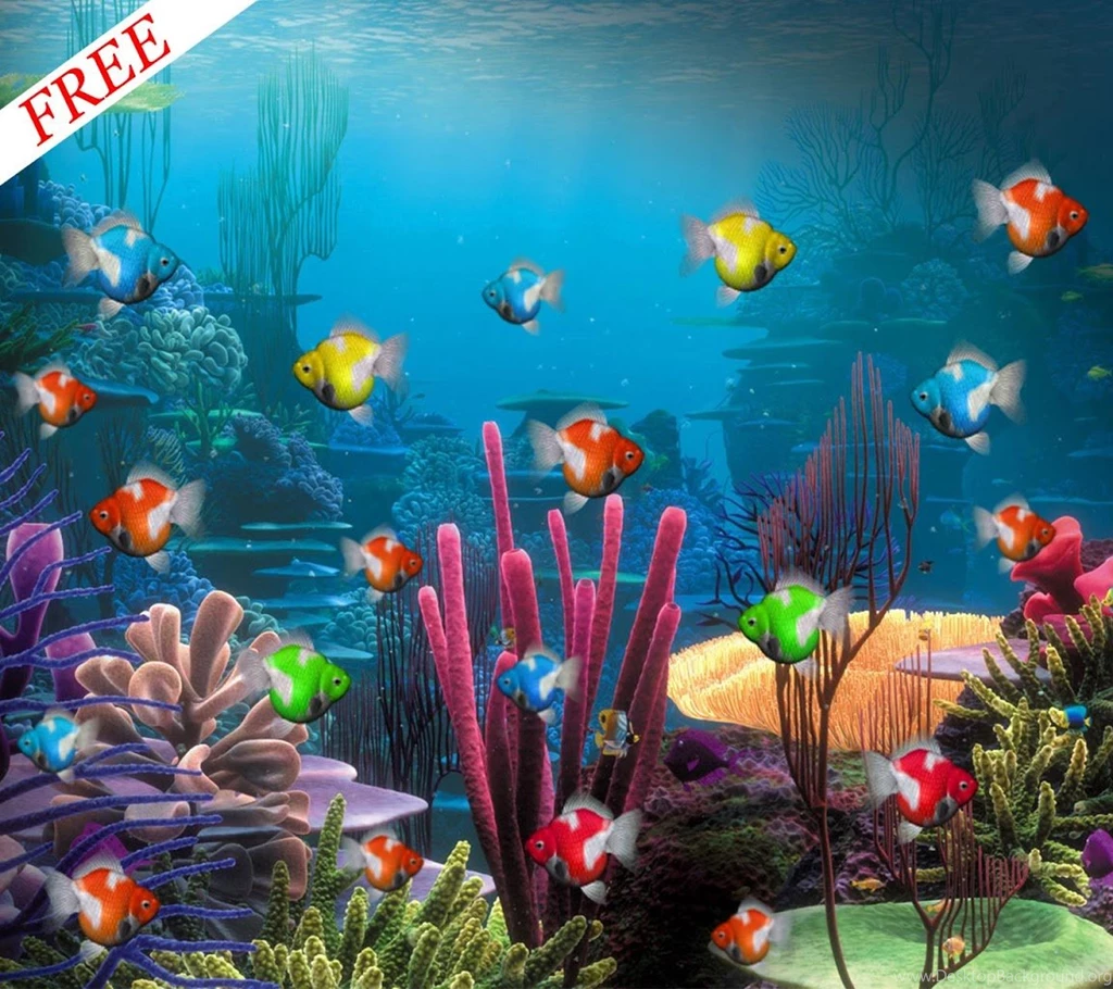 Anipet aquarium live wallpaper 5 9560 HD Wallpapers