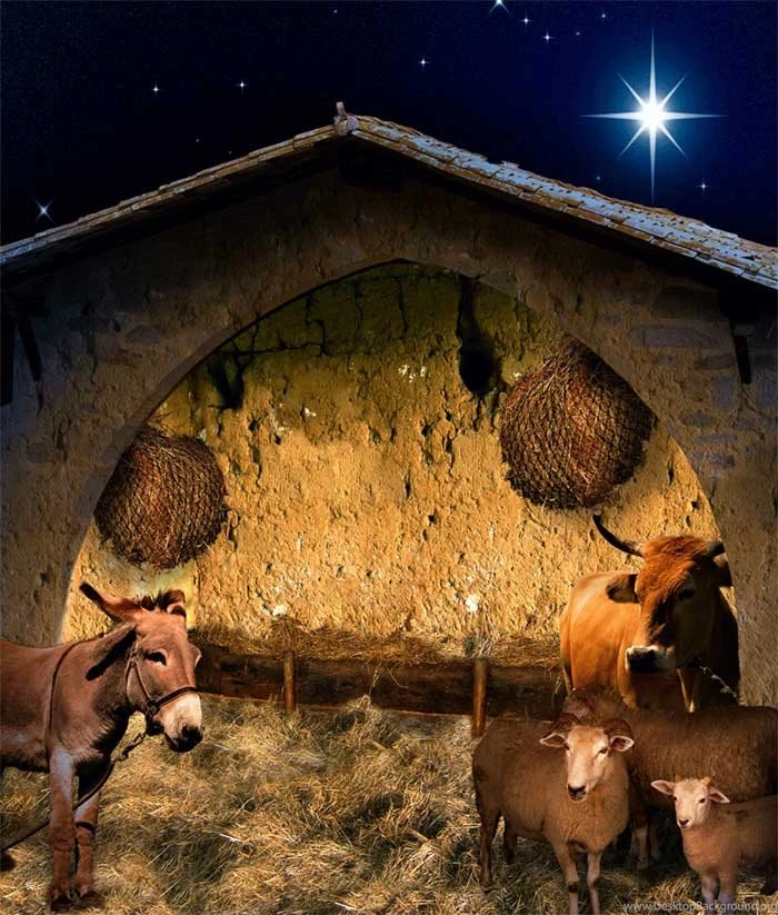 Christmas Nativity Backgrounds   Small