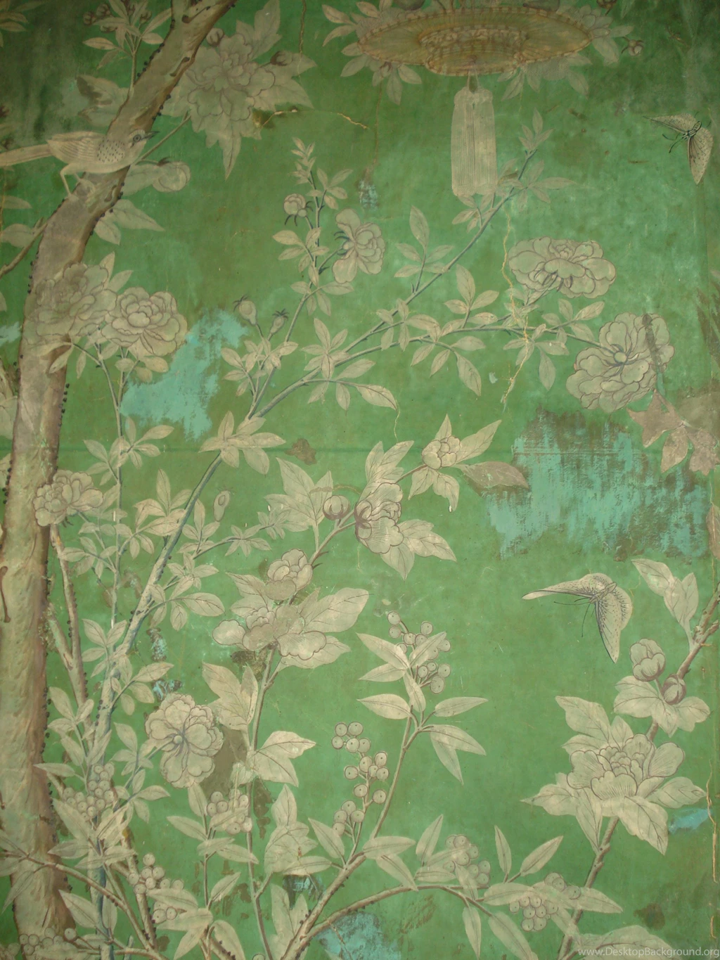 A Room Full Of Birds : Eighteenth Century Wallpapers
