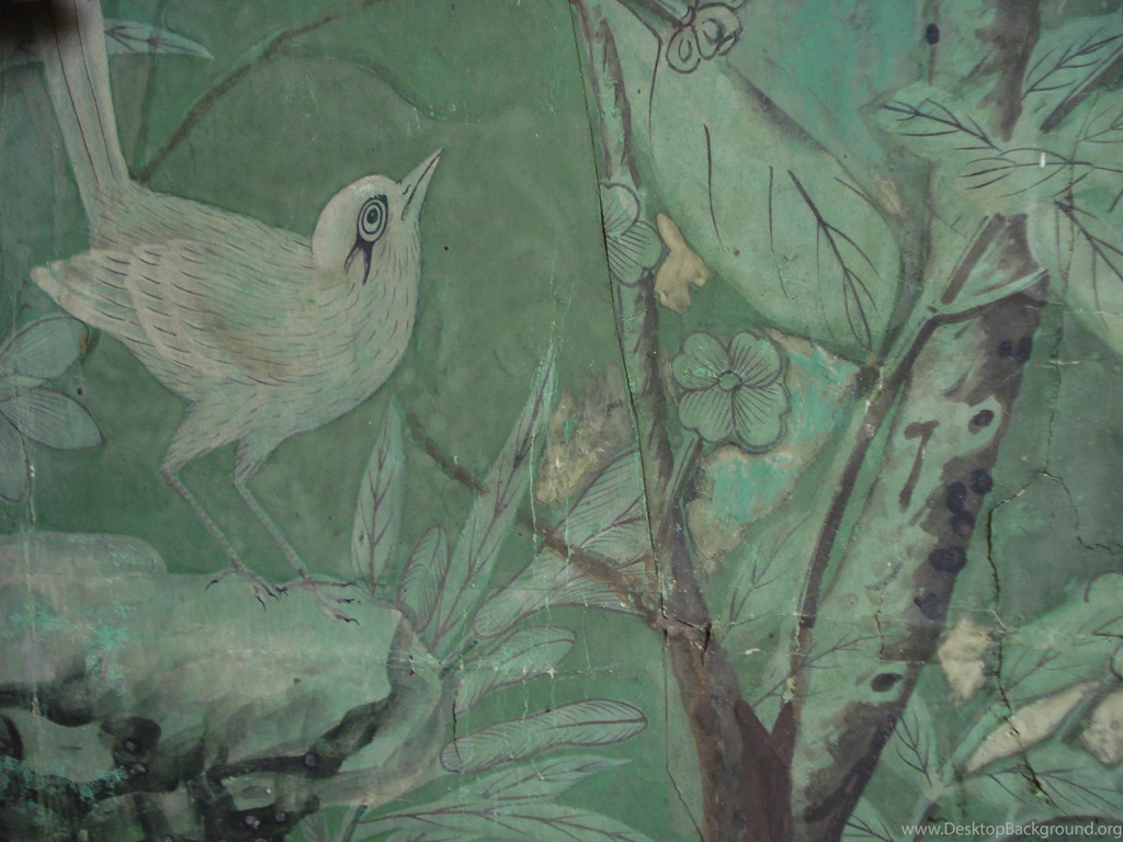 A Room Full Of Birds : Eighteenth Century Wallpapers