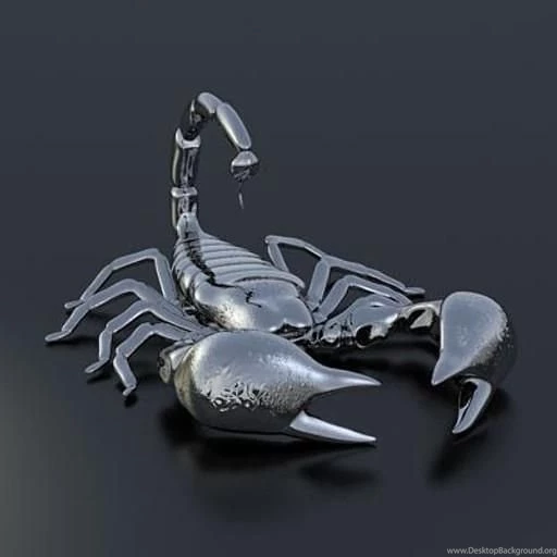 Scorpions 3D Live Wallpapers Download Scorpions 3D Live Scorpions 3D Live Wallpapers Download Scorpions 3D Live