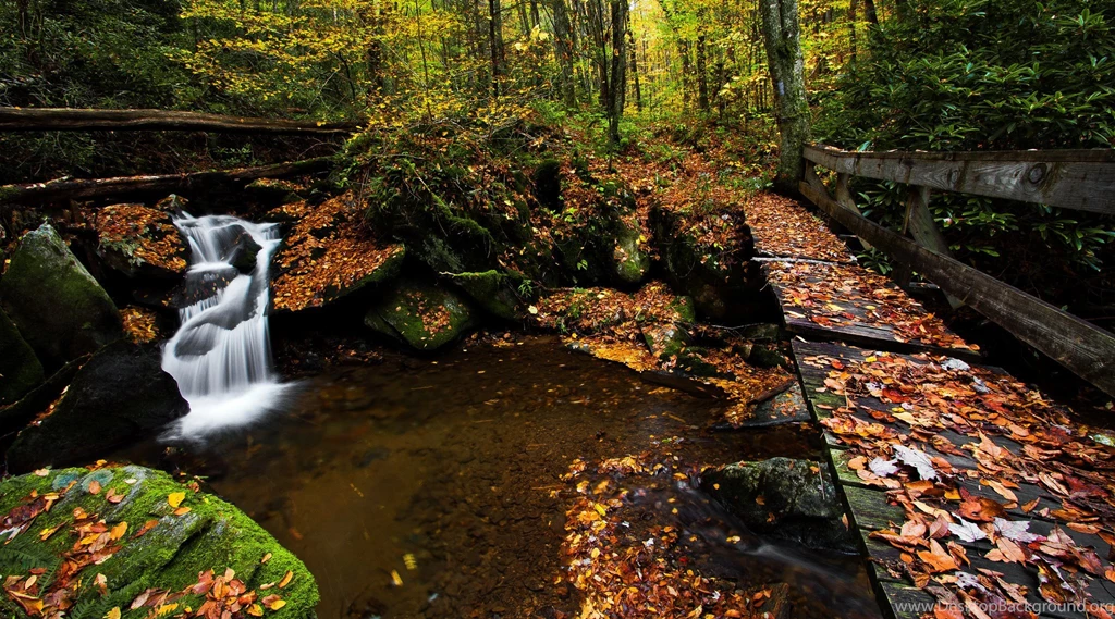 North Carolina Nantahala National Forest Autumn Bridge River ...