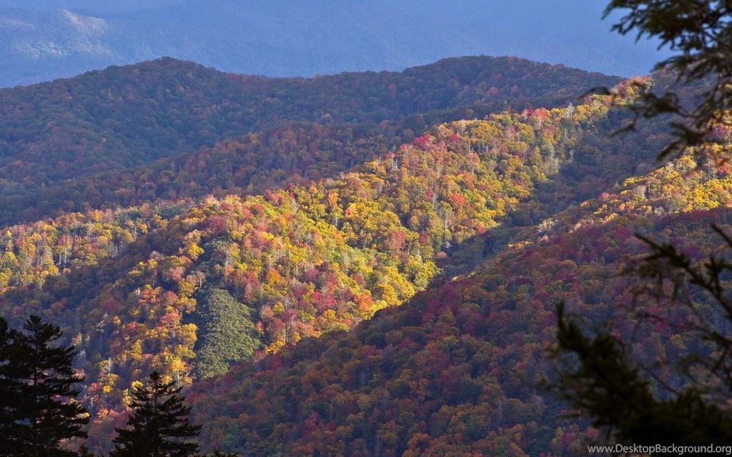 Fall Colors Of North Carolina Ridges From Newfound Gap HD Desktop ...