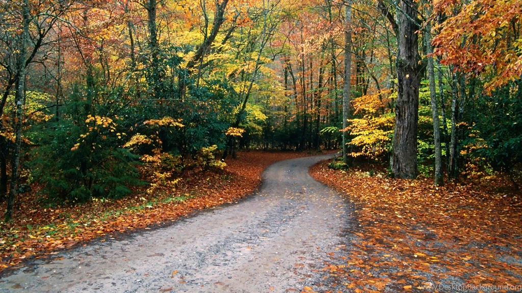 Cataloochee Cove Great Smoky Mountains National Park North Carolina.jpg