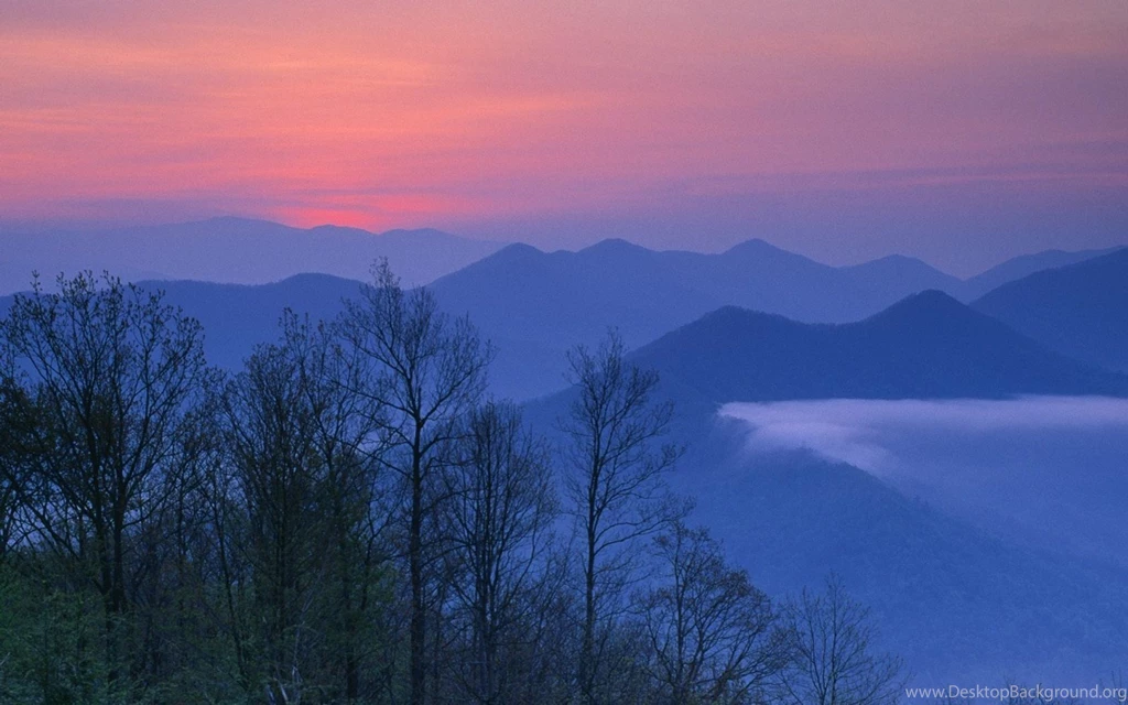 Forest Joyce North Carolina Wallpapers