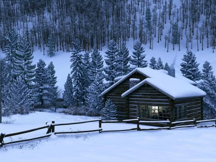 Log Cabin