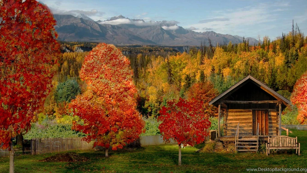 Log Cabin In A Beautiful Autumn Forest   (