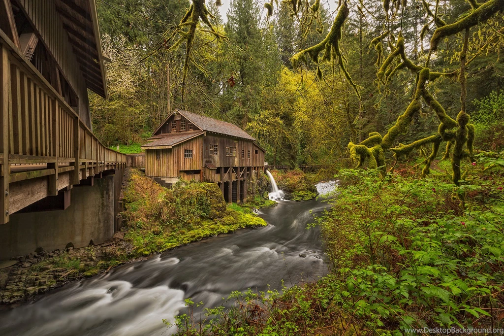 213 Cabin HD Wallpapers