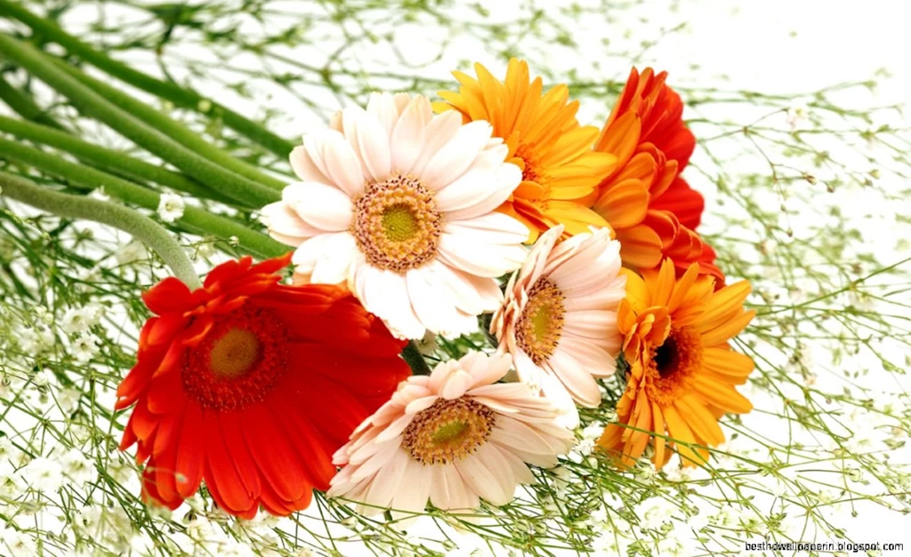 High Resolution Wallpapers Flowers