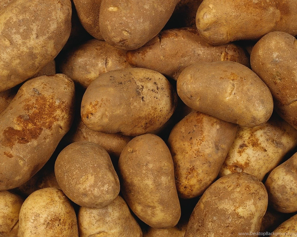 Download Wallpapers 1280x1024 Potato, Root Crop, Crude 1280x1024 HD ...