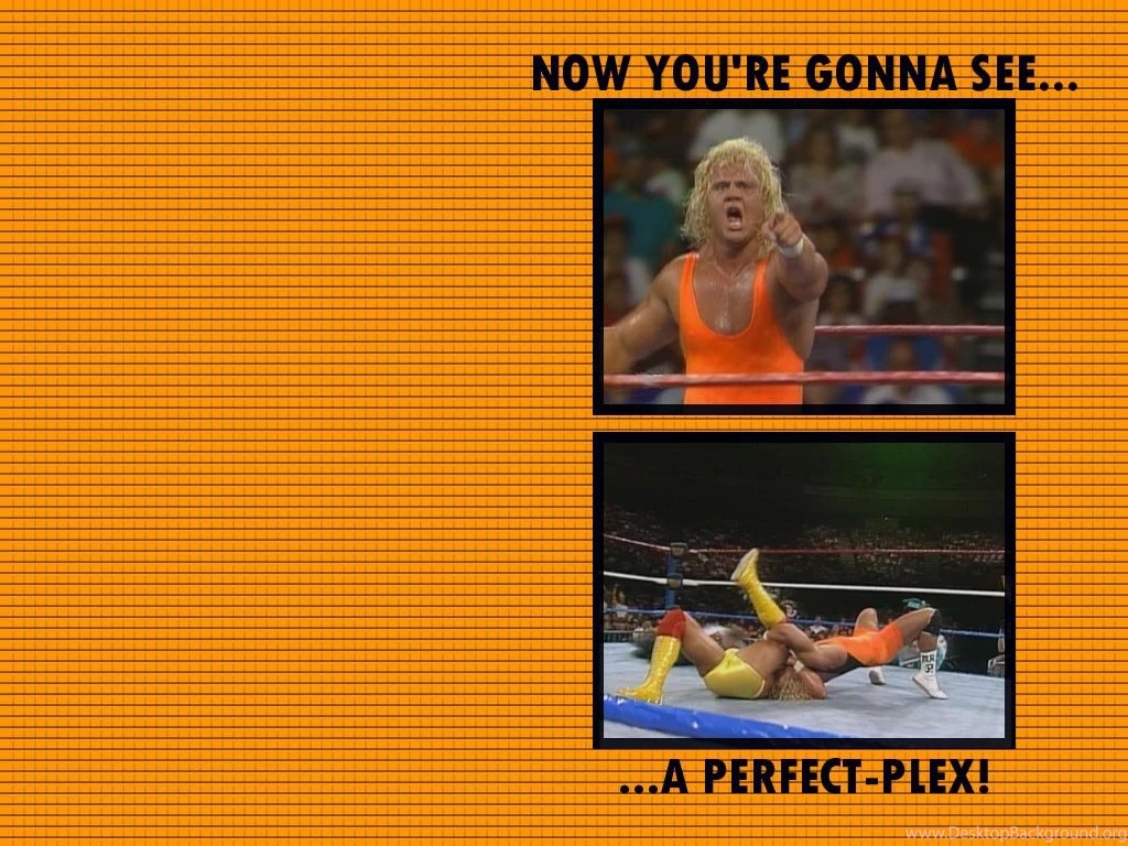 MR PERFECT.COM Absolutely PERFECT! Curt Hennig (1958 2003) Home ...