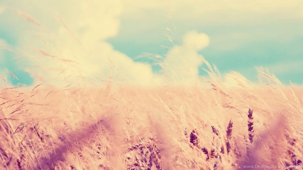 Cute Wallpapers Wallpapers Cave
