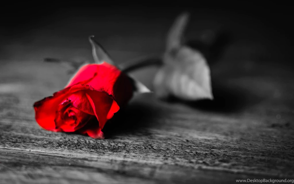 The Power Of Love 1920×1200