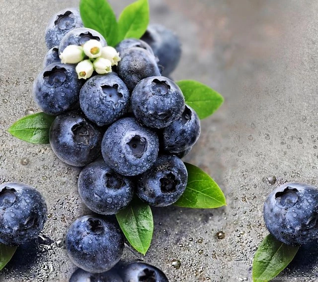 Q] I Want To Get Blueberries Wallpapers Of O…