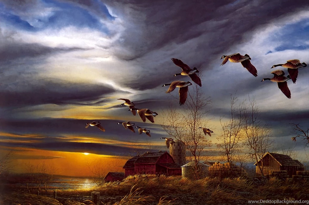GEESE FLYING SOUTH Computer Wallpapers, Desktop Backgrounds ...
