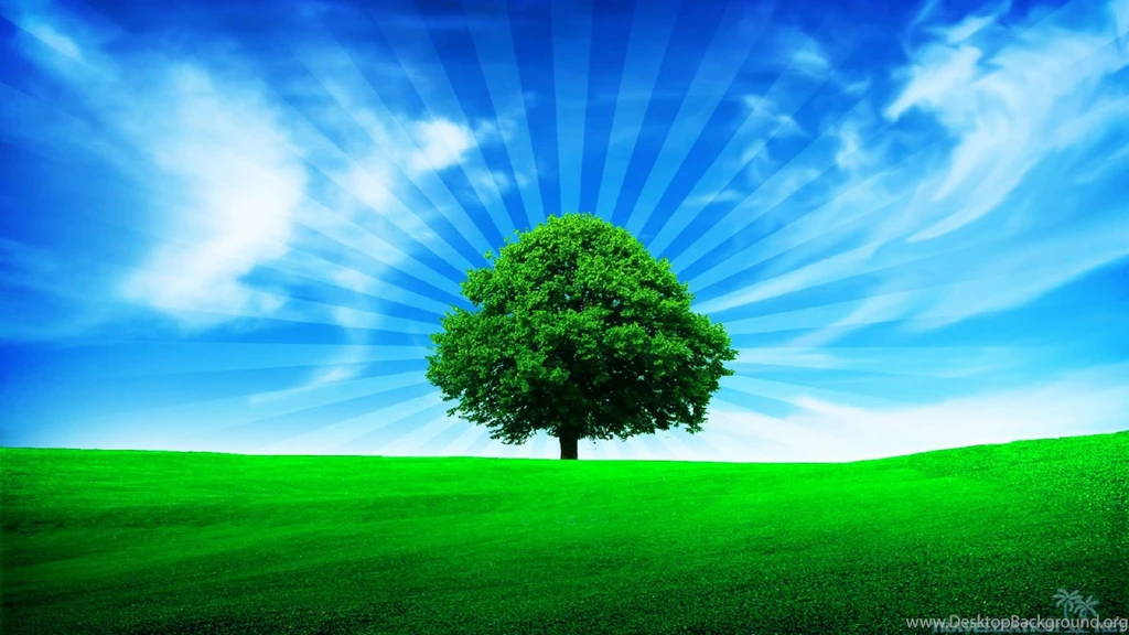 Simply Beautiful Tree Wallpapers