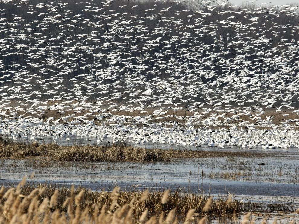 85 smyrna delaware adventure towns_25201_990x742.jpg