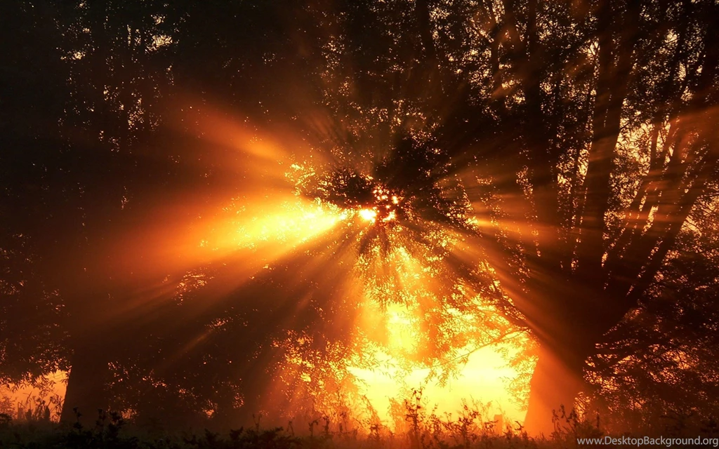 Cool Nature Backgrounds Twitter Just For Sharing
