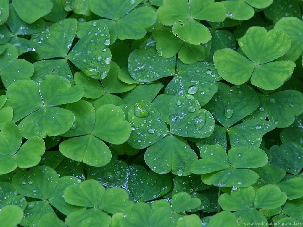 Saint Patty's Backgrounds And Codes For Any Blog, Web Page, Phone ...