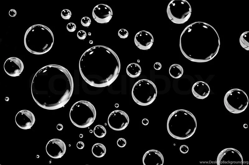 Water Droplets On A Black Backgrounds