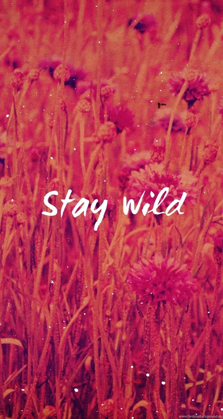 Stay Wild iPhone Wallpapers @mobile9