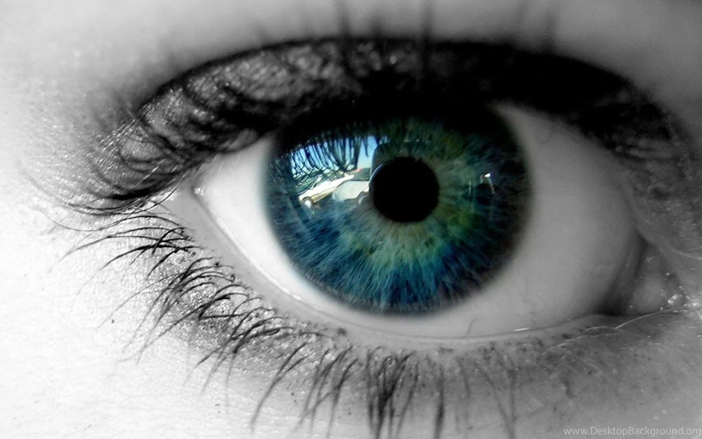 Blue Eyes Wild Screen HD Wallpapers