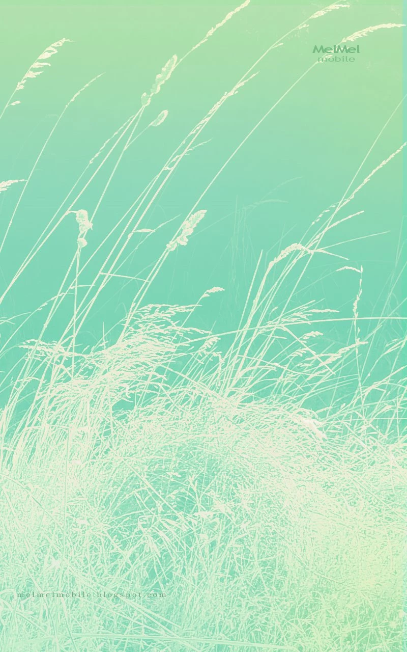 The Beauty Of Wild Grass   Lock Screen Wallpapers