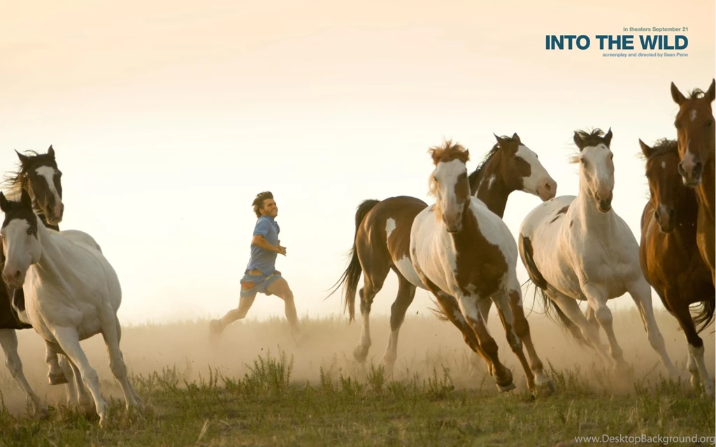 Into The Wild Movie Wallpapers