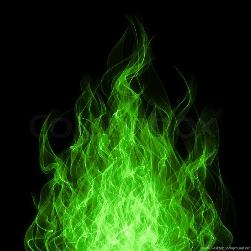 Raster Blackboard Grill Menu Card Pig Fire Board