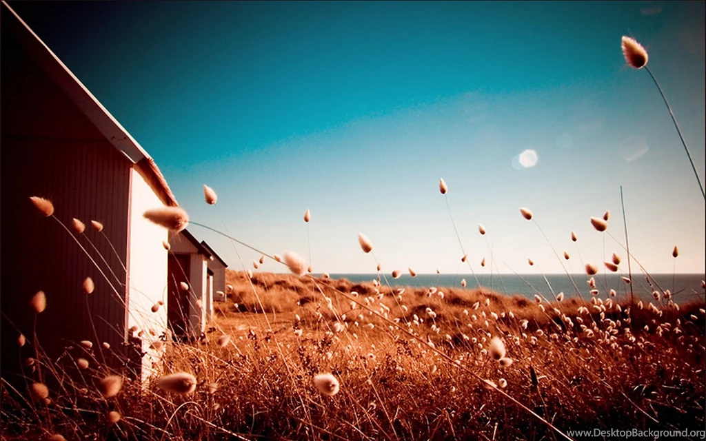 Photography Hd Wallpapers Download