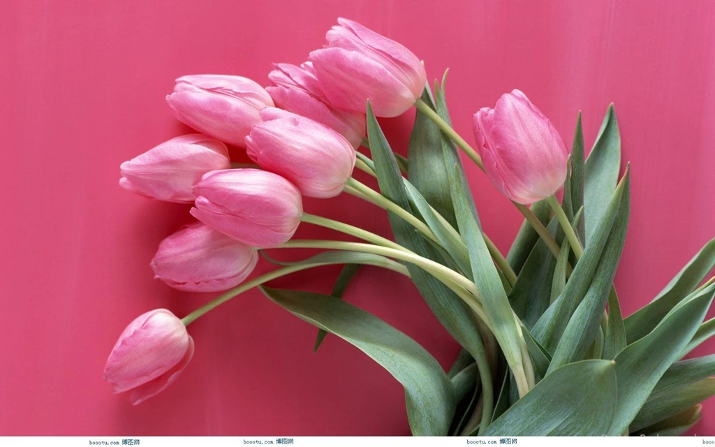Desktop 3d wallpaper rose download.jpg