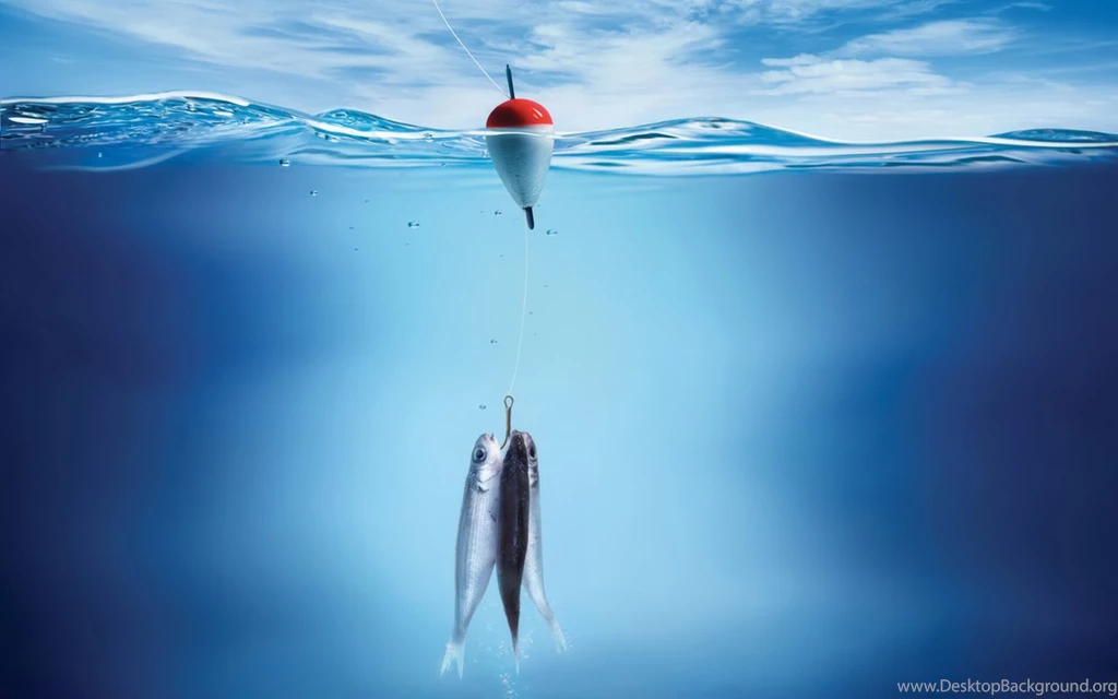 Desktop Wallpapers · Gallery · Computers · Good Bait