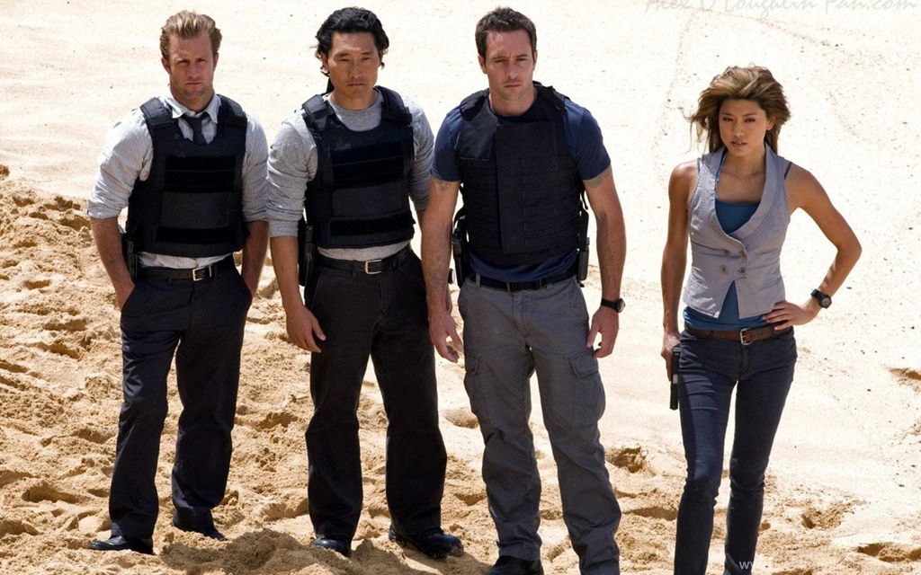 Written By Deb: TV Do Over Blog Hop, The Hawaii Five 0 Edition