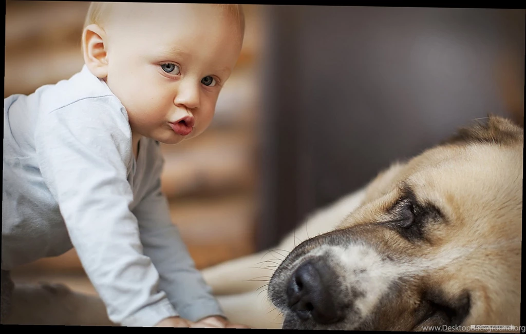 Cute Baby Wallpapers Desktop   4 Items