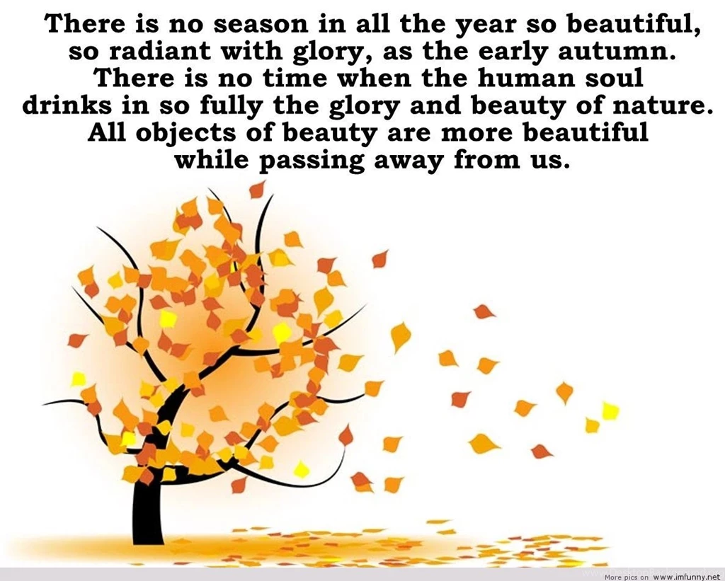 Funny Autumn