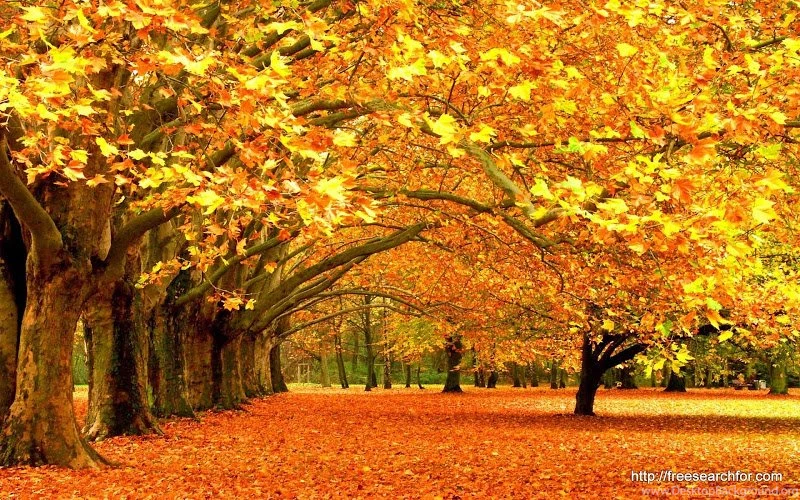 Best Cool Wallpapers