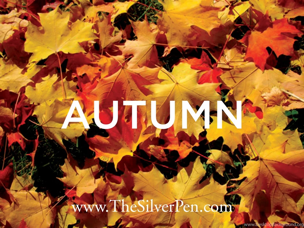 Autumn Fun Quotes. QuotesGram
