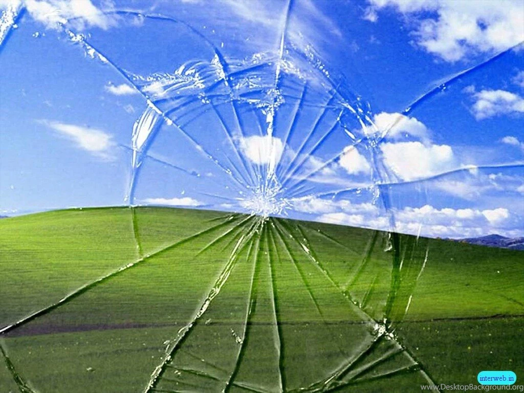 3d Funny Pictures Gallery 3 High Definition : Widescreen Wallpapers