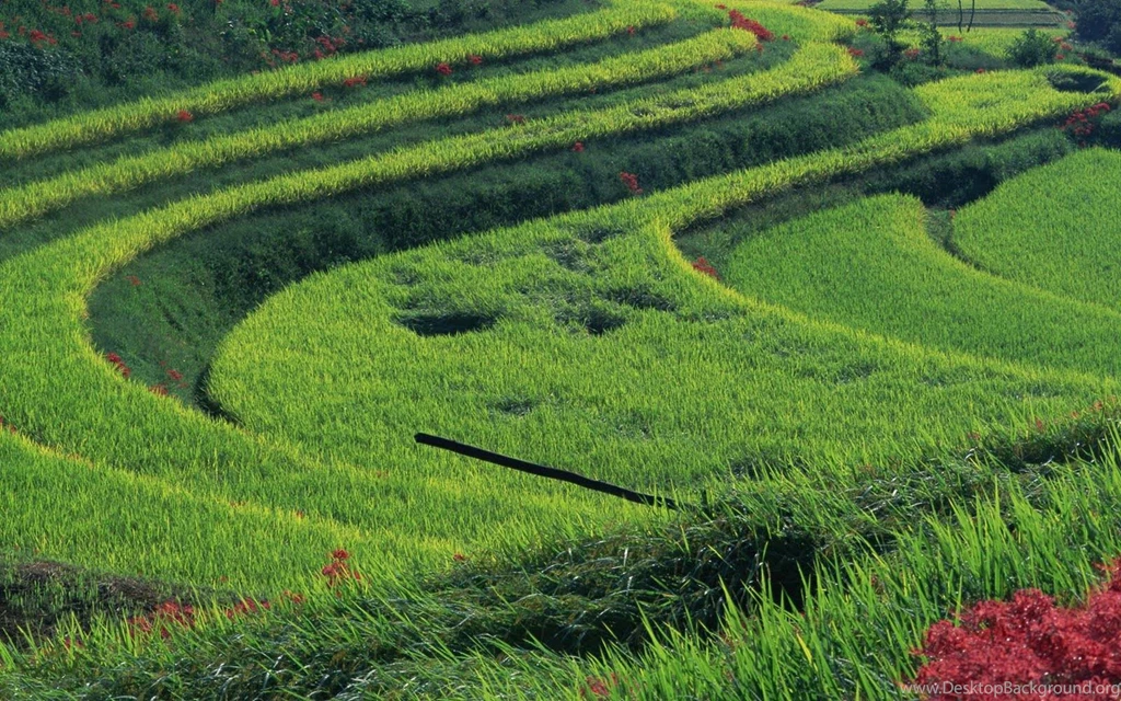 Wallpapers Download Archives   Page 7 Of 27   Free Desktop ...