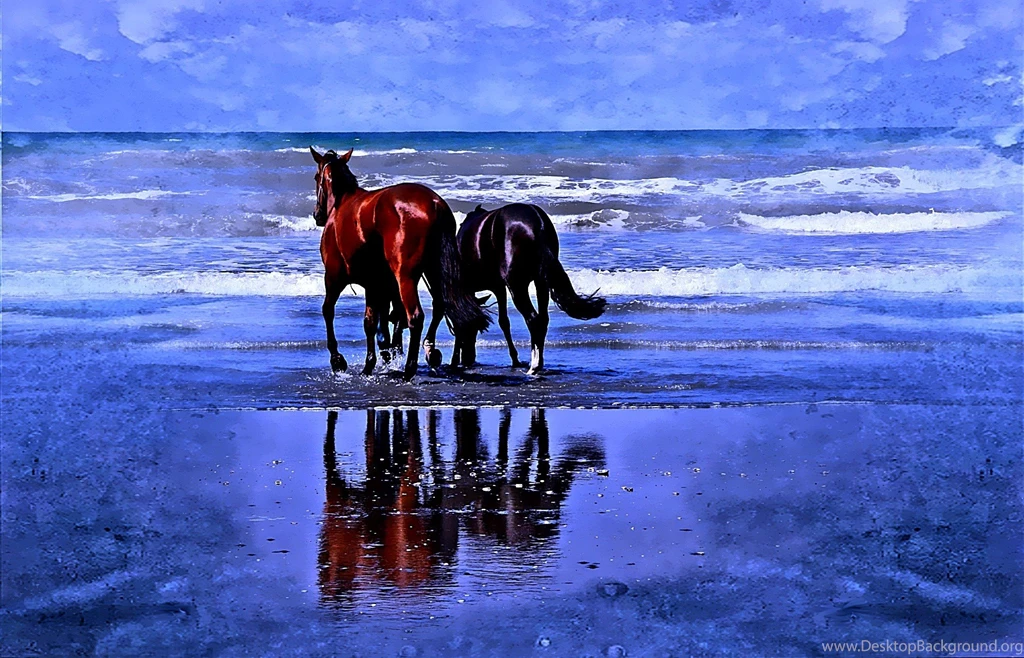 Horses: Loving Couple Beaches Reflection Horses Blue Ocean Wave ...