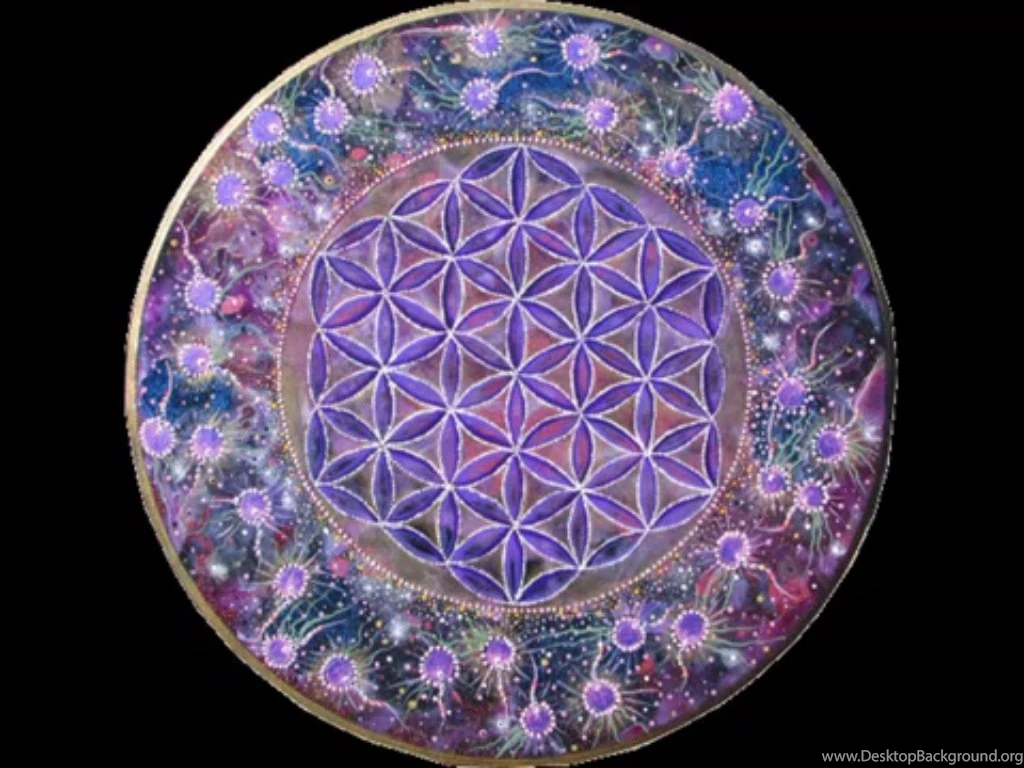 Rainbow flower of life.jpg