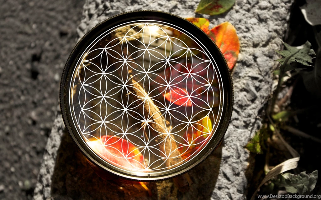 Flower Of Life Wallpapers 1170751