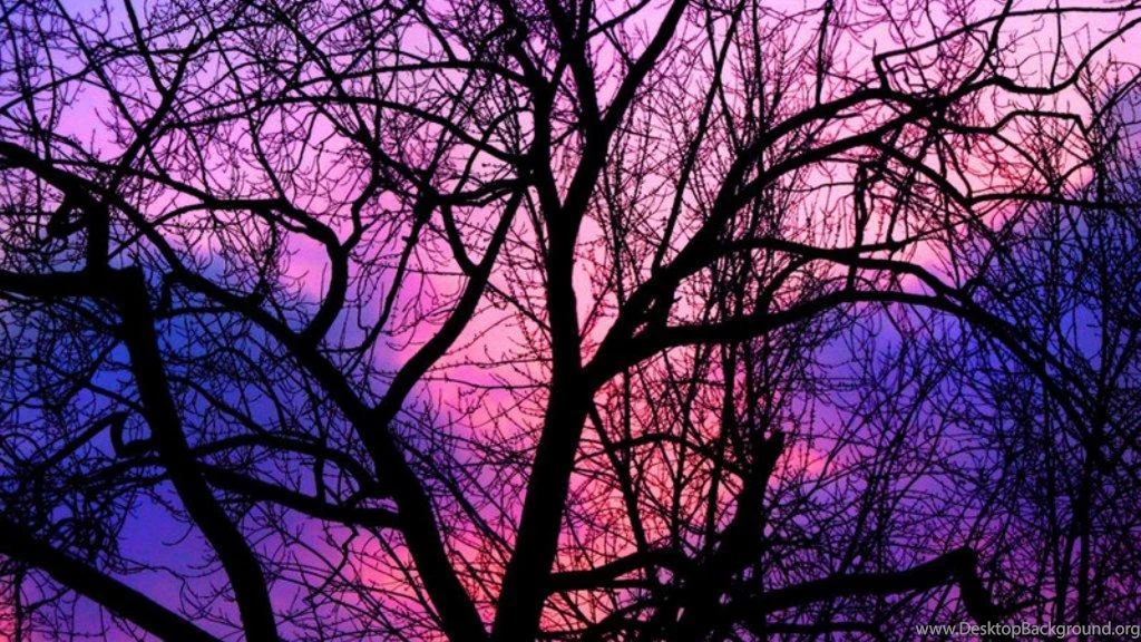 Cotton Candy Clouds Wallpapers (